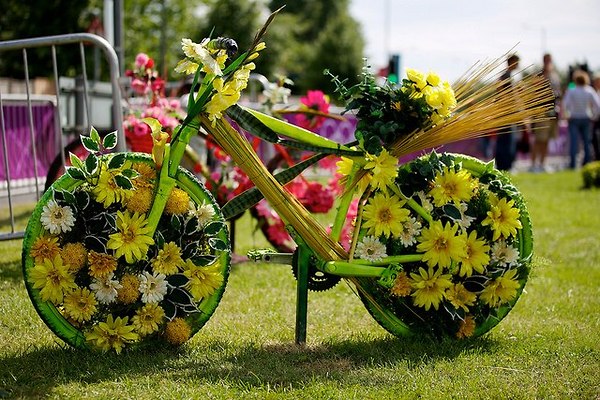 Flower-power-bike :-)